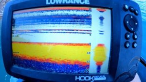 Сом на квок! Подводная съёмка. Ловлю на Кальмара!