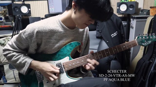 쉑터기타들을 가격대 별로 비교해보자!🎸/Let's compare the Schecter guitars by grade!/#기타 #schecterguitars #guiter смотреть онлайн