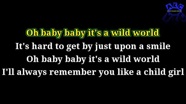 [Acoustic Karaoke] Mr.Big - Wild World смотреть онлайн
