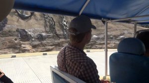 Парк мелодии и моря Далянь