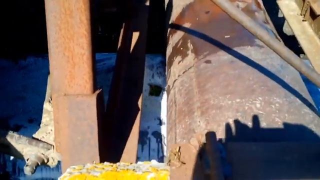 Технология выращивания арбуза под плёнку. смотреть онлайн