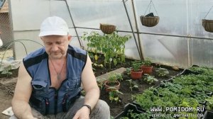 СВЕЖИЙ НАВОЗ опасен весной и незаменим осенью Нормы и правила внесения Плодородие Вашей Земли