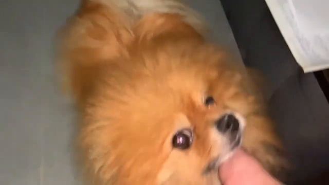 Всем доброго утречка и прекрасного дня. смотреть онлайн