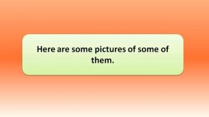 #SPOTLIGHT 4. Module 1. English-speaking countries of the world/Russian millionaire cities.