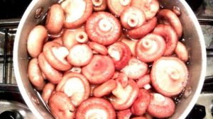 Волнушки отварные