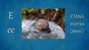 ФИНСКИЙ ЯЗЫК | АЛФАВИТ | AAKKOSET