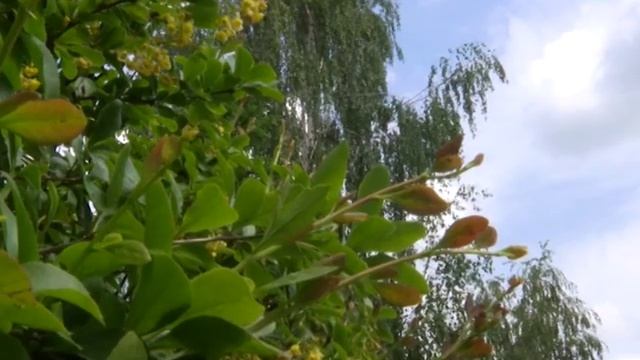 Николай угодник смотреть онлайн