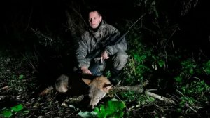 Охота на волка в Беларуси. Wolf hunting
