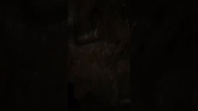 Сушка салона смотреть онлайн