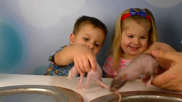 Обычная Еда ПРОТИВ Мармелада Челлендж! Папа ПЛАЧЕТ 2! Real Food vs Gummy Food Candy Challenge смотреть онлайн