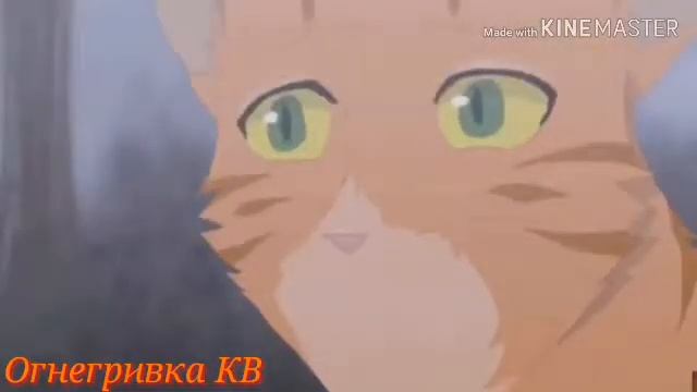 ||Клип||Roses|| смотреть онлайн