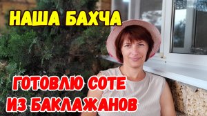 🔴 Наша Бахча. Готовлю Соте из Баклажан. Рецепт на Каждый День