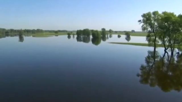 Павел Филин - В Чистом Поле Вода смотреть онлайн