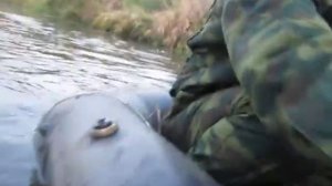 Деревня. Между Тереньково и Беливо. Двое в лодке и очки. Типа рыбалка на Нерской.