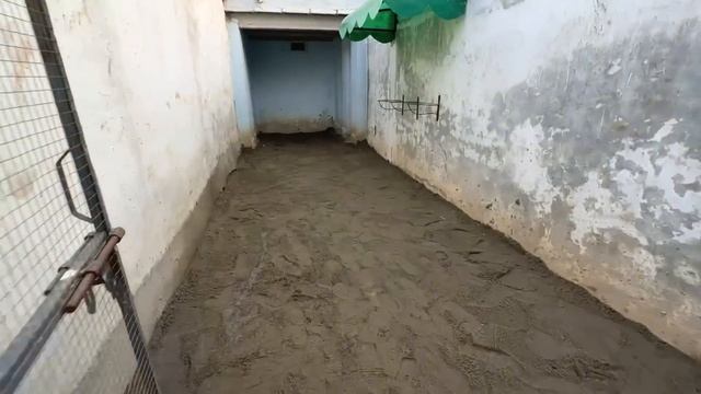 Ostrich Ka Egg Unko Wapis Kr Dia ? смотреть онлайн