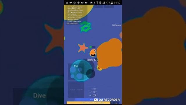 Животные едят друг друга Что за беспредел смотреть онлайн