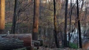 Усадьба Волконских "Суханово", г. Видное⚜️?Кушаем пиццу?#Усадьба Суханово #,