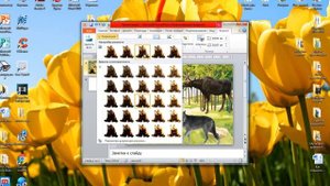 Создание игры "Чья тень" в Power Point