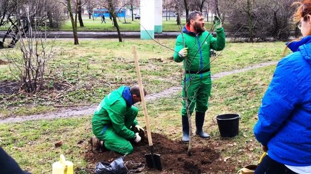 Зеленая акция канцелярского бренда Bic в России 2017 смотреть онлайн