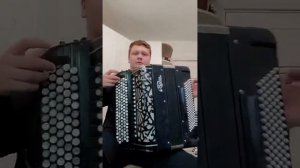 баян "Тула 401"