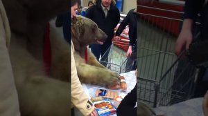 Настоящий медведь в супермаркете!!! (часть 3)