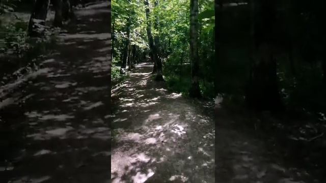 С ПЕСНЯМИ ПО ЛЕСУ ! ОТДЫХ НА ПРИРОДЕ ! смотреть онлайн