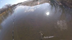 Река Уссури .  Таймень на блесну