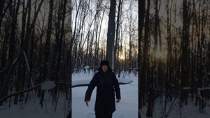 Что делать, если на вас напала бешеная лиса.