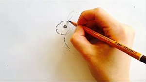 КАК НАРИСОВАТЬ ЗАЙЧИКА