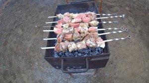 Виноградная лоза и шашлык.