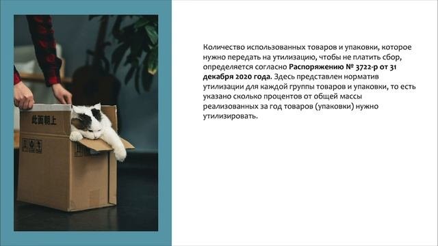 Экологический сбор 2023