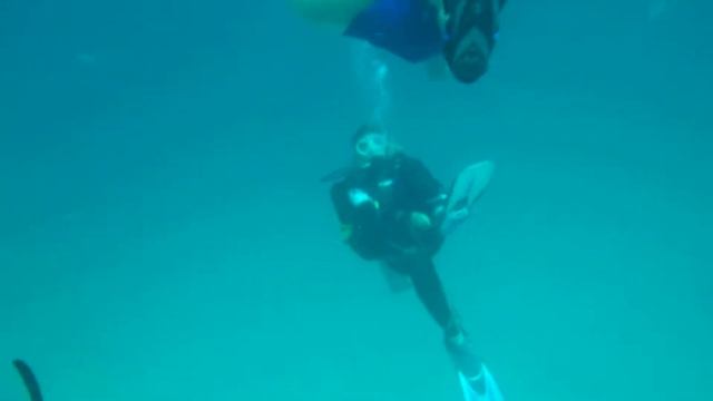 Bungalow bay dive - entering the water смотреть онлайн