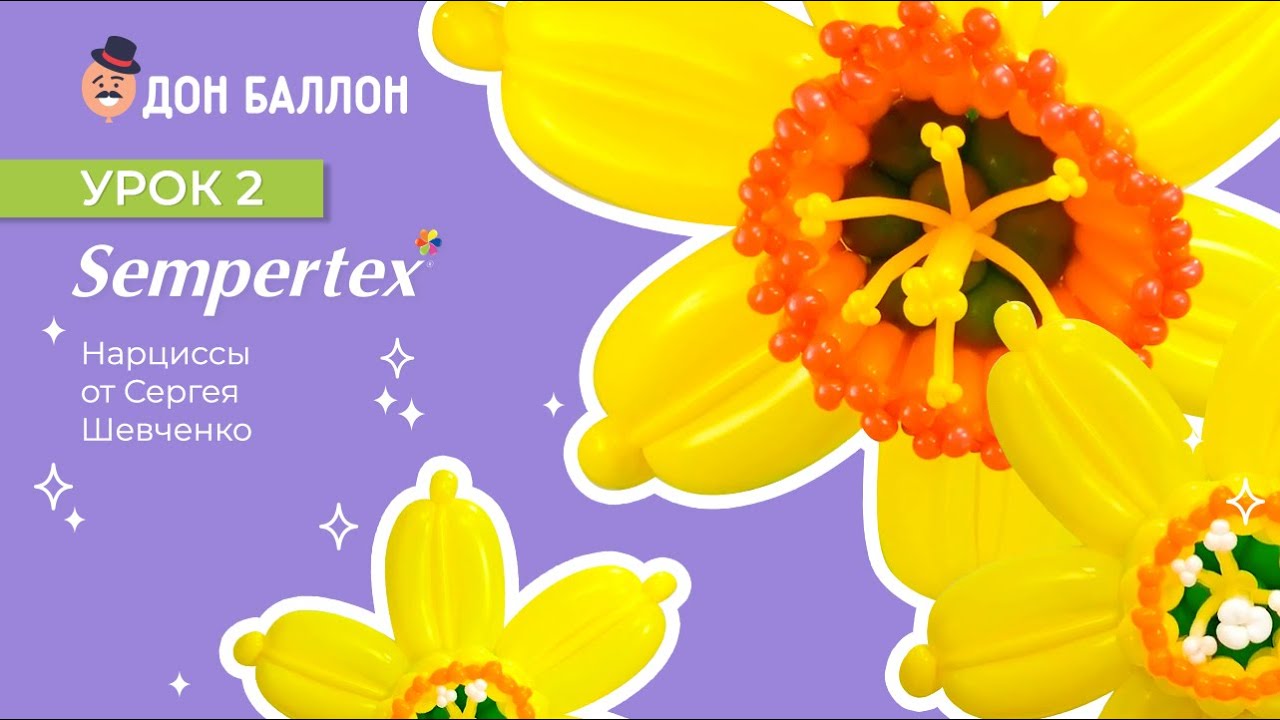 Урок 2. Нарцисс от художника по воздушным шарам Sempertex Сергея Шевченко. смотреть онлайн