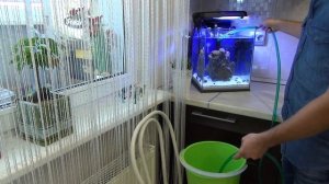 Бюджетный (Нано Риф) заключительная 4 часть (аптазия и борьба с ней тесты и общая информация)