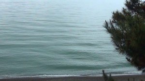 Отель Охотник в Адлере на берегу моря. Музыка Вадим Манцев (NikaDim).