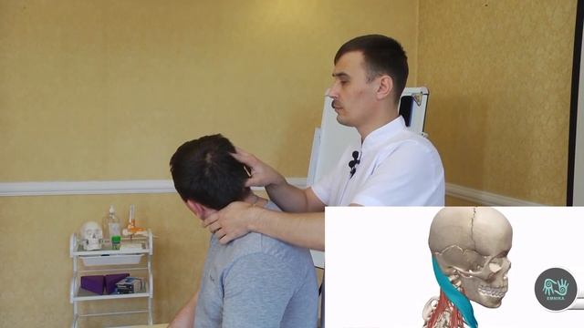 Мышечное тестирование Урок 4. ГКС. Егор Москалёв.