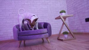 Лежанки - Диванчики для собак и кошек сделанные своими руками дизайнеров бренда Montisdog.