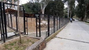 Поездка в зоопарк г.Тарсус