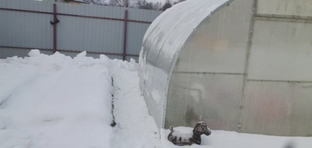 теплица зимой