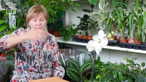 Яблоки как удобрение для почвы ? ПАДАЛИЦА ?  сад огород c  хитсад