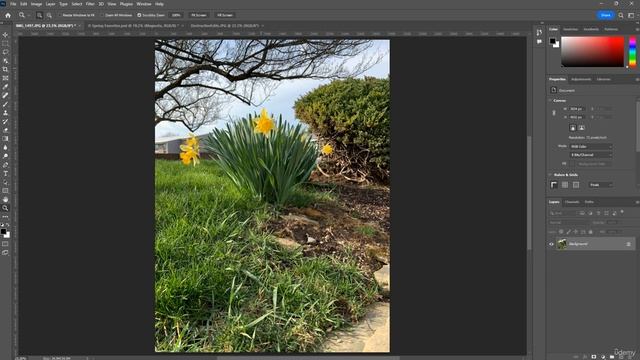 8 How to Use the Document Windows in Photoshop смотреть онлайн