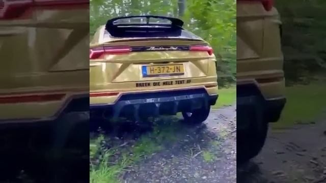 Lamborghini Urus гоняет по лесу.