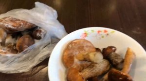 Как заморозить грибы