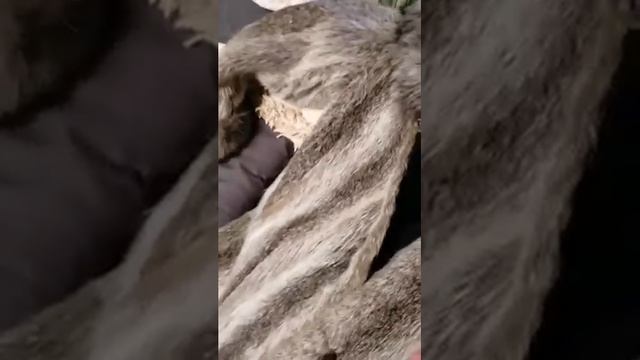 BIOTRIM NEO #1 био чистка меха смотреть онлайн