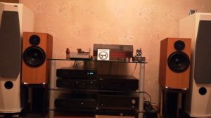 Двухполосная АС на динамиках SEAS H1288 и Morel CAT 308 1 часть