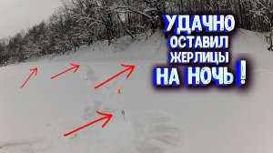 ВОТ ЭТО Я УДАЧНО оставил ЖЕРЛИЦЫ на ночь