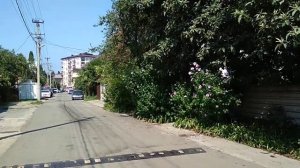 Погода летом в июне, июле и августе в Сочи и Адлере в 2023 году: теплое ли море, температура воздух