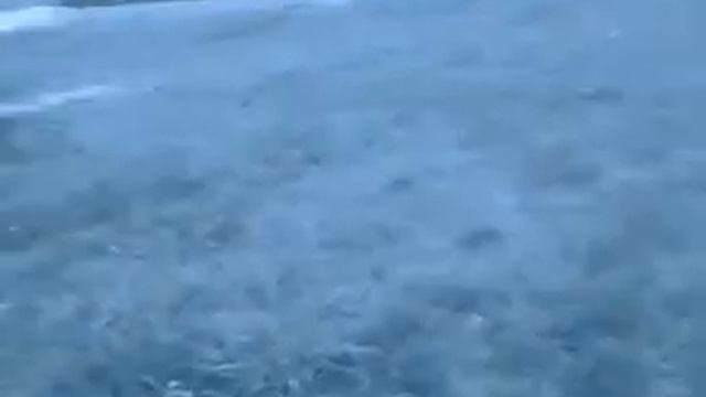 Матюкливый Японский бомж и Военская часть ! смотреть онлайн