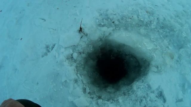 Рыбалка на ДОНУ в МАРТЕ!Проверка ДОНОК(поставушек) Ёрш-носарь! смотреть онлайн