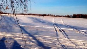 Тайга Атака против Варяга 500